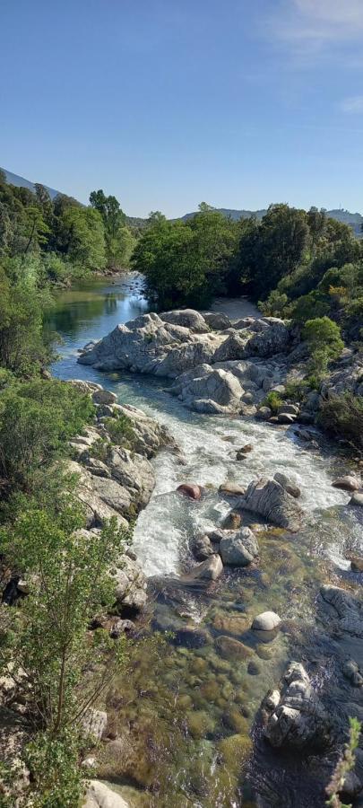 Luxuszelt Yourte Independante En Pleine Nature, Proche D'ajaccio Carbuccia